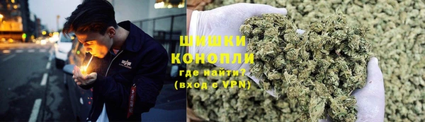 гидра Артём